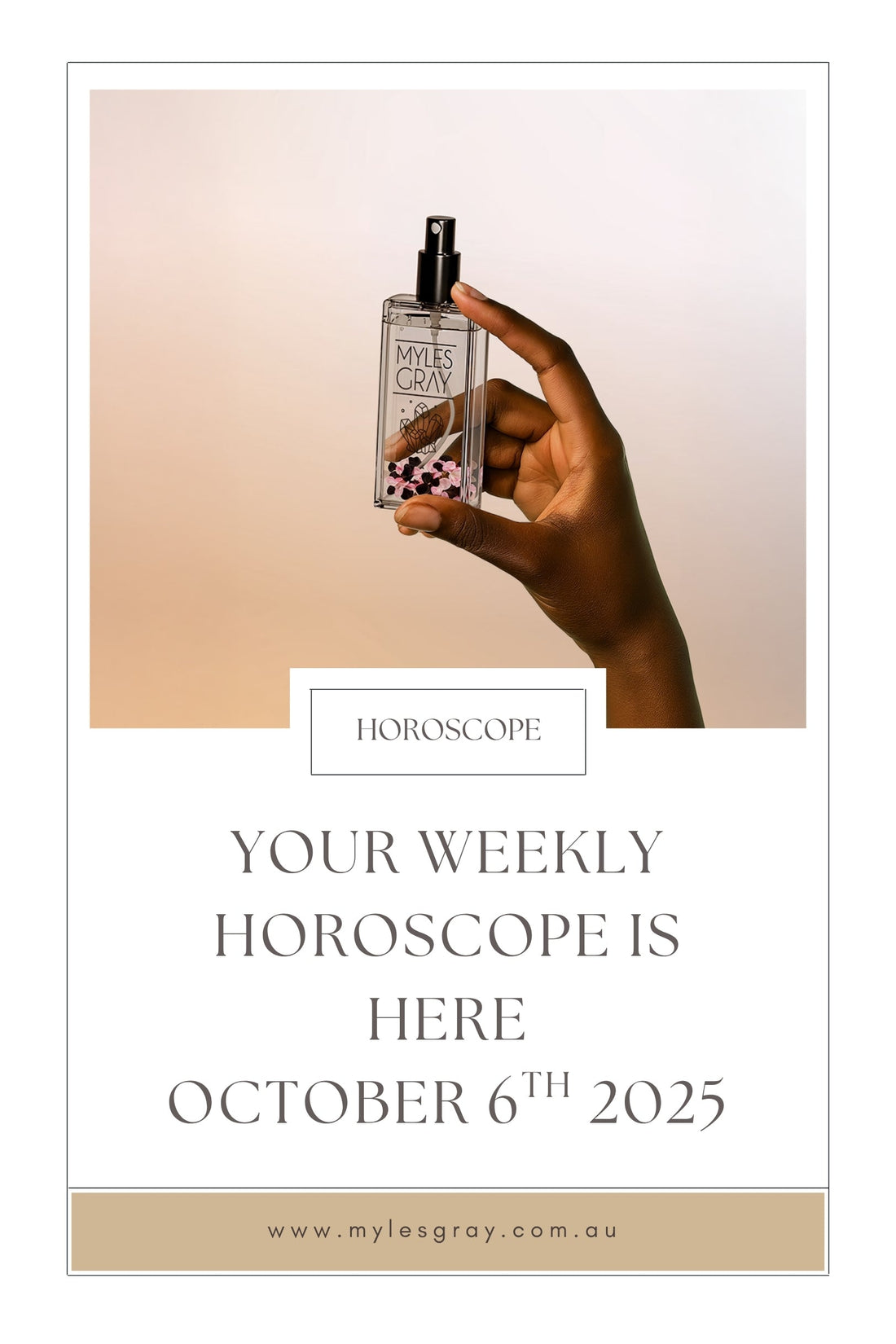 Weekly Blog Post | October 6th 2025