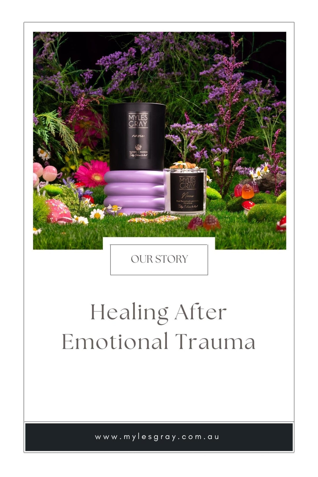 Healing After Emotional Trauma - Myles Gray