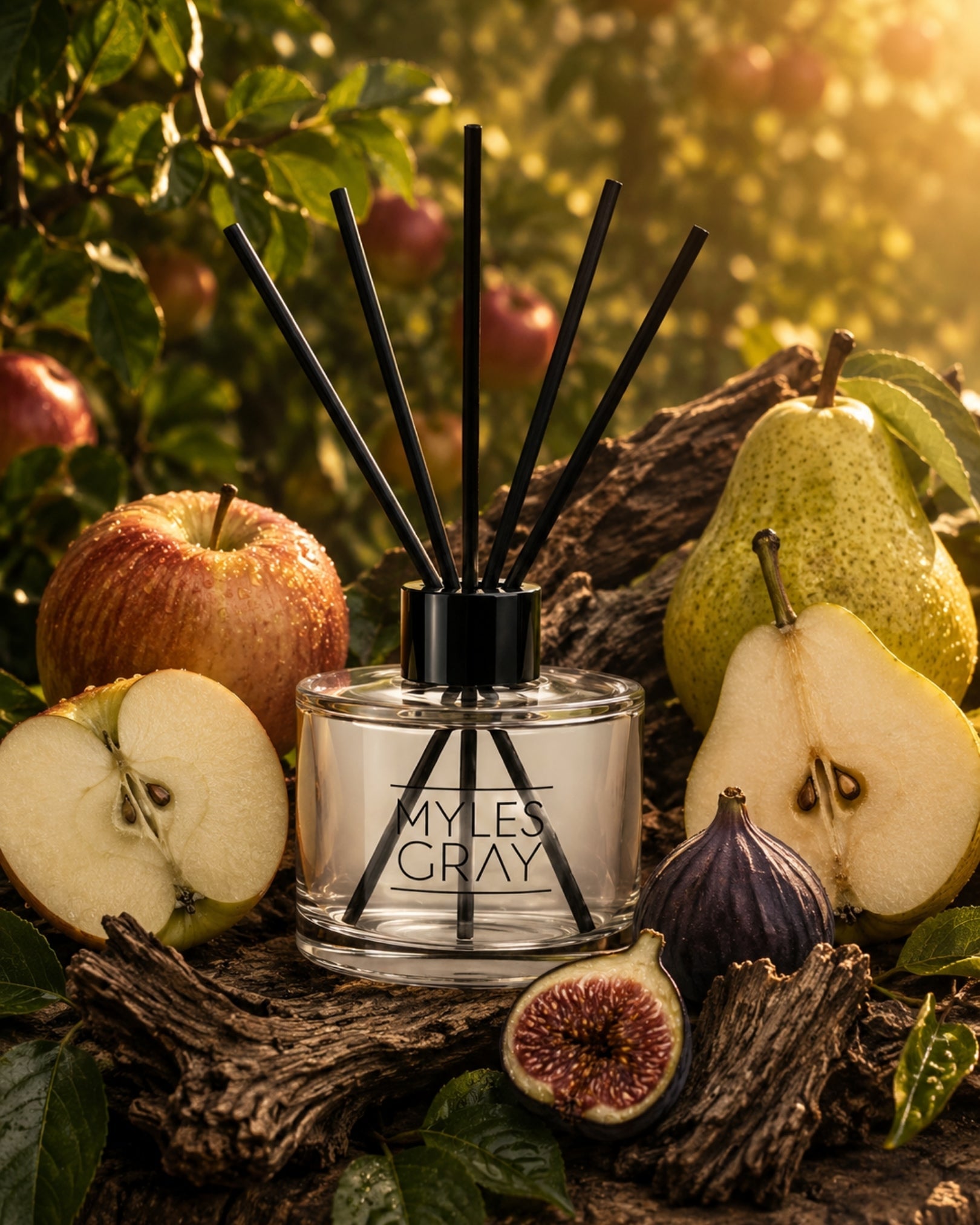 Find Your Fragrance!