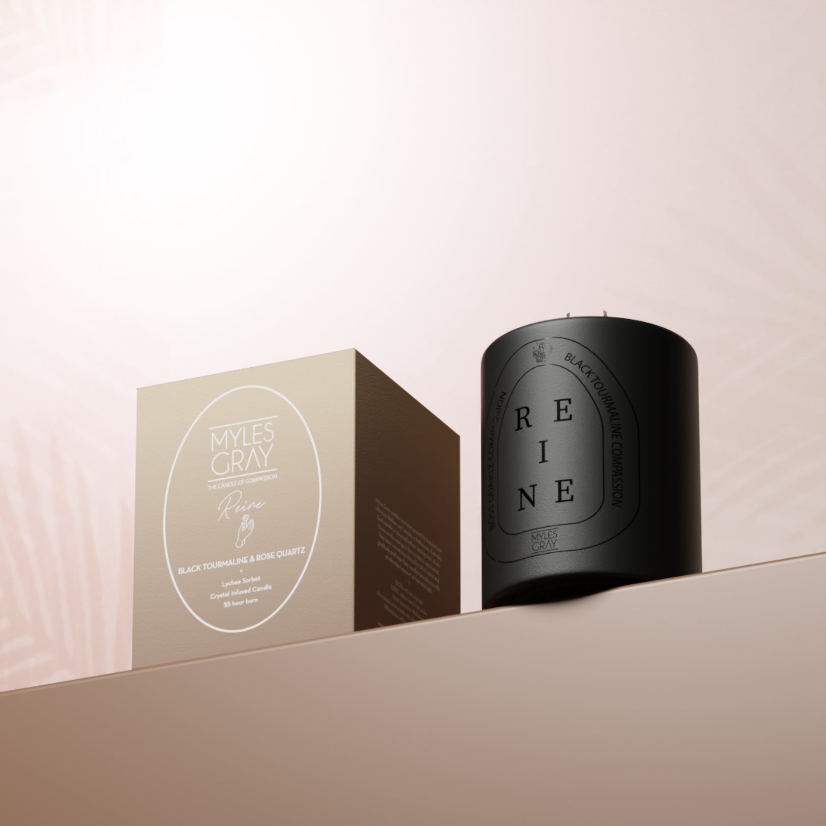 Reine | The Candle of Compassion