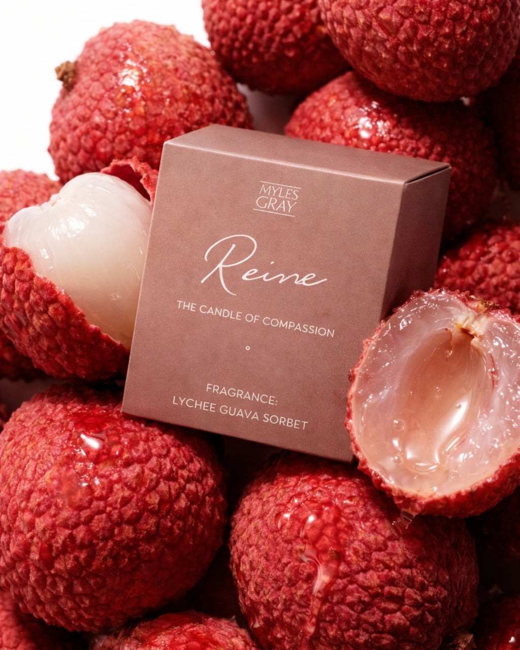 Reine | The Tealight Of Compassion