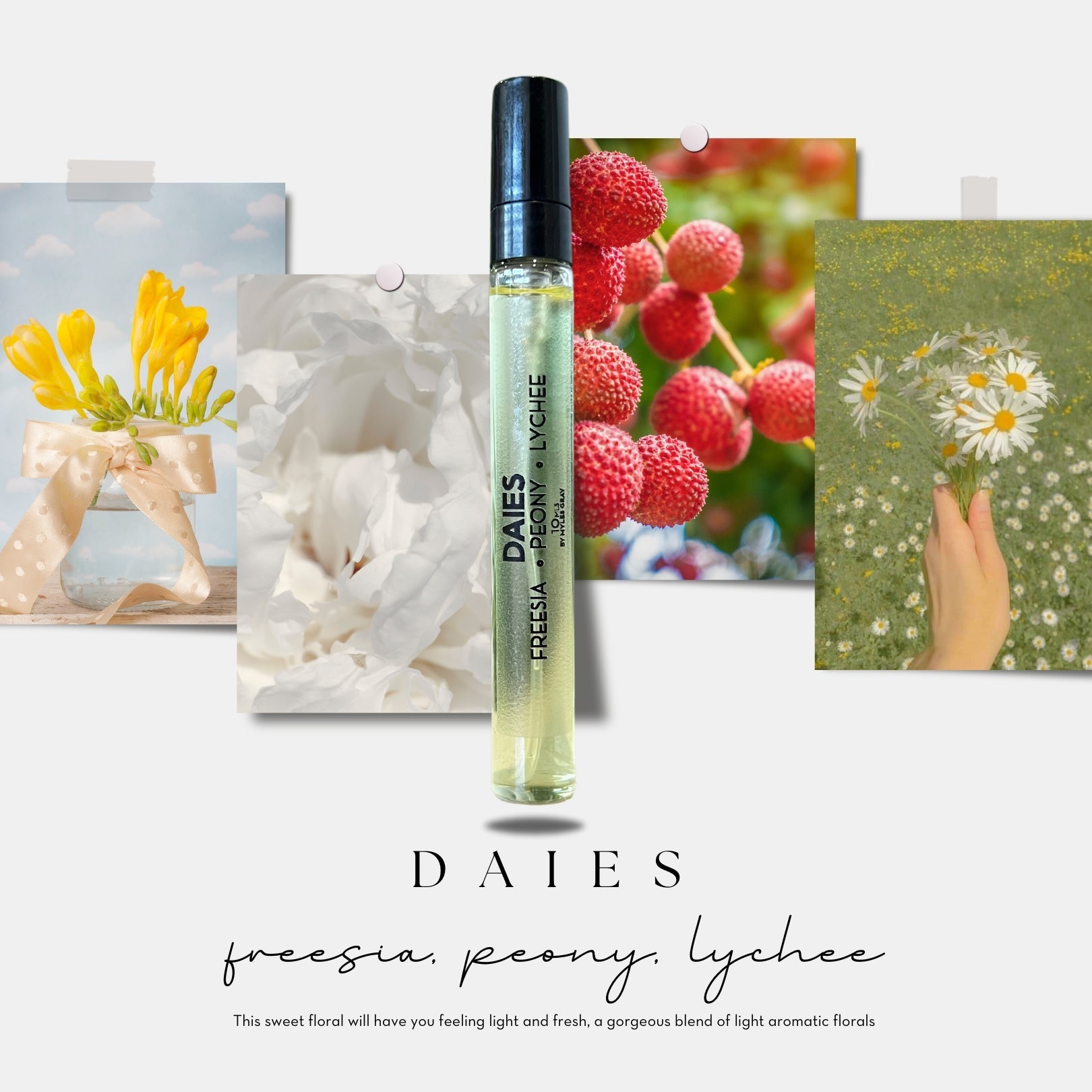 SUGAR Perfume Discovery Set - Myles Gray